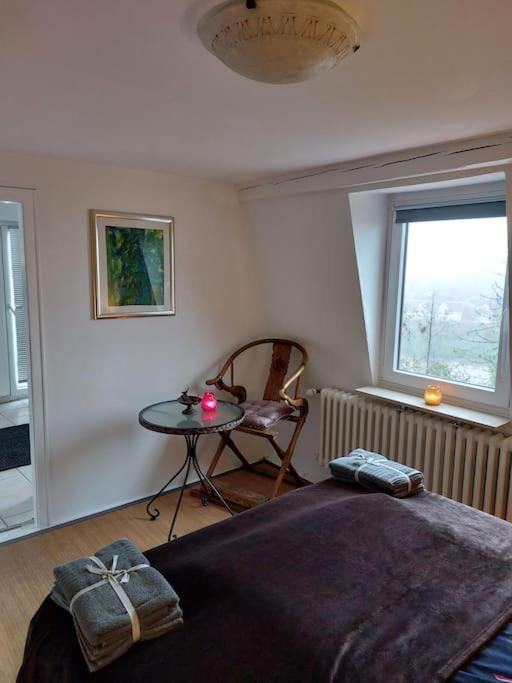 Casa Marieanne City Haus, Gratisparken, Traumblick Трир Екстериор снимка
